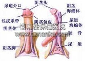 铜仁华南男科医院