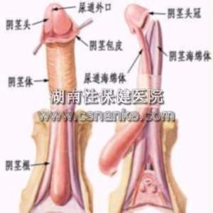 铜仁华南医院男科