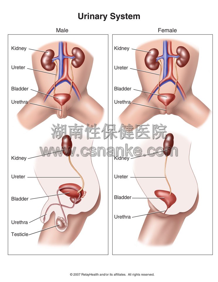 铜仁华南医院男科