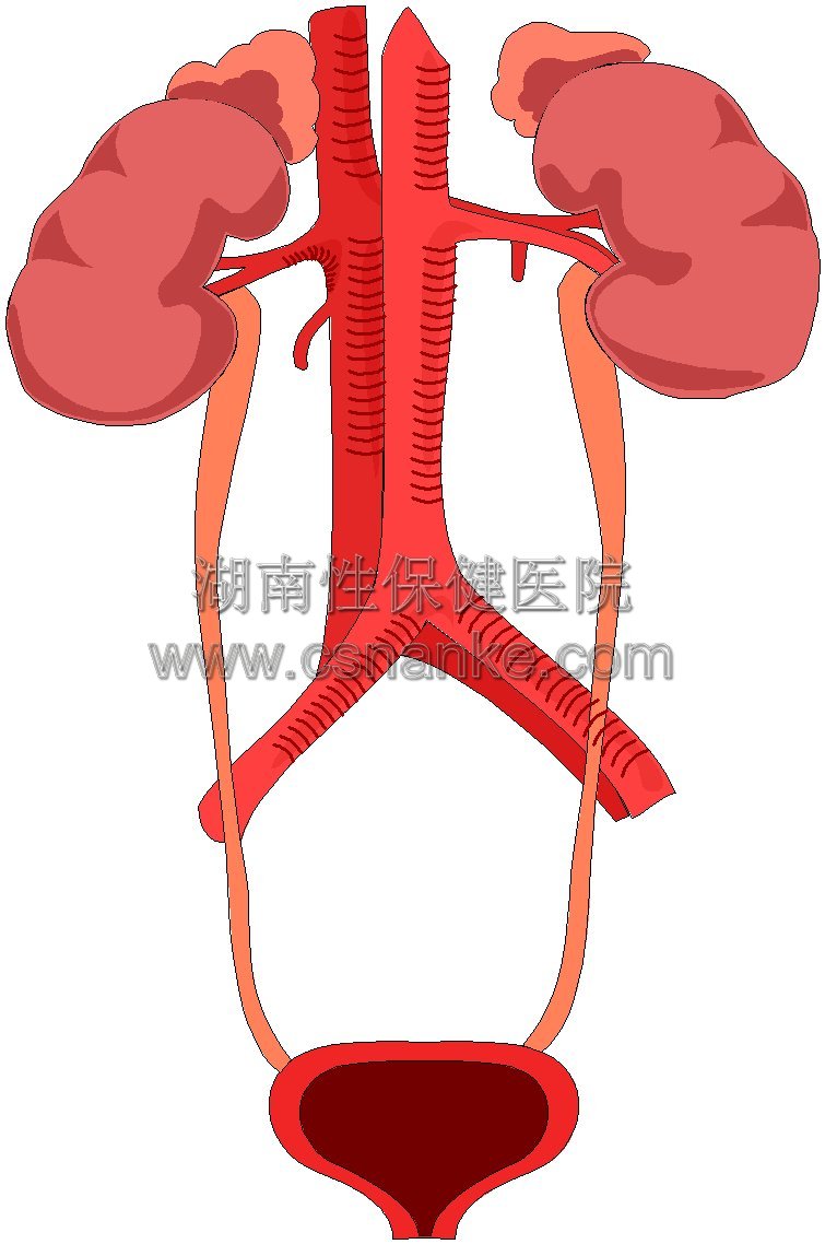 铜仁华南男科医院