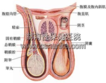 铜仁华南男科医院