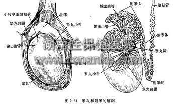铜仁华南医院男科医院