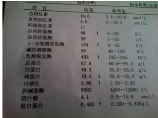 复查单子