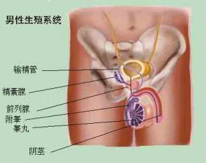 睾丸炎治疗不当危害多 全国前三医院很关键