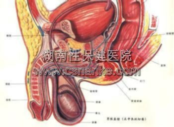 铜仁华南医院男科