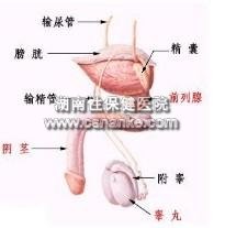 铜仁华南男科医院