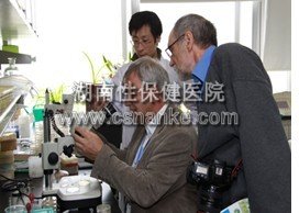 湖南性保健治疗尖锐湿疣