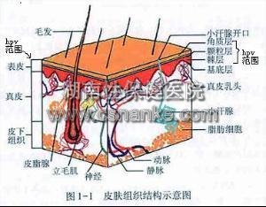 铜仁华南男科医院