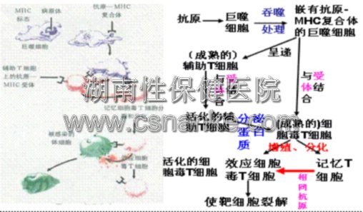 铜仁华南男科医院