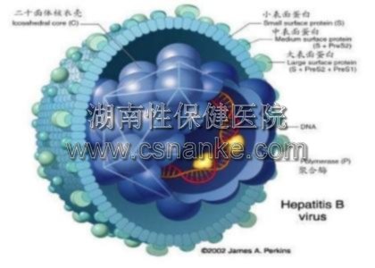 铜仁华南男科医院