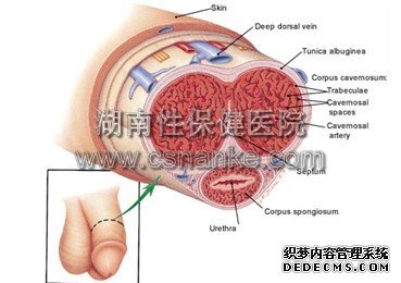 湖南性保健治疗早泄